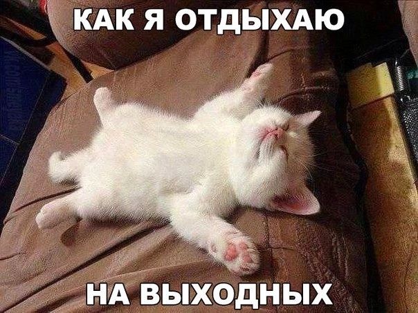 КАК Я отдыхдю АЪыходных