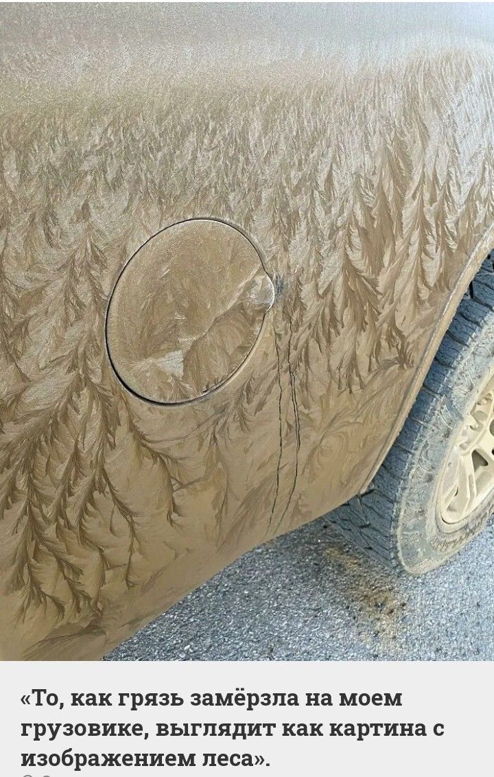 То как грязь замерзла на моем грузовике ВЬППЯДИТ как картина С изображением леса