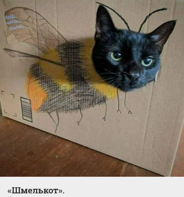 Шмепькот