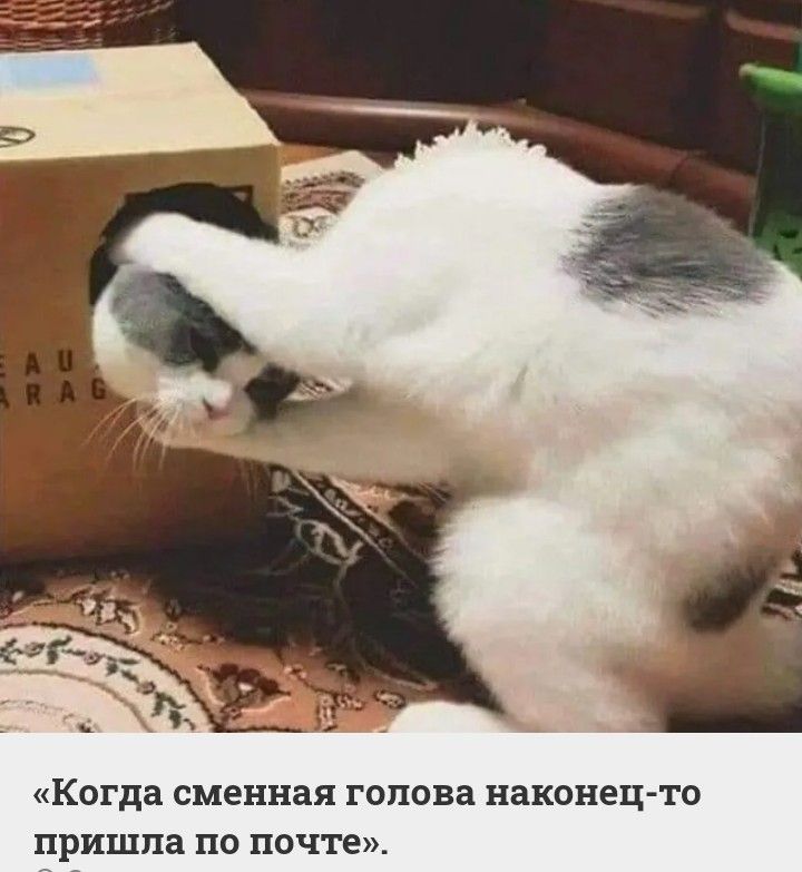Когда сменная голова наконец то пришла по почте