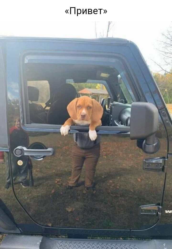 П ривет