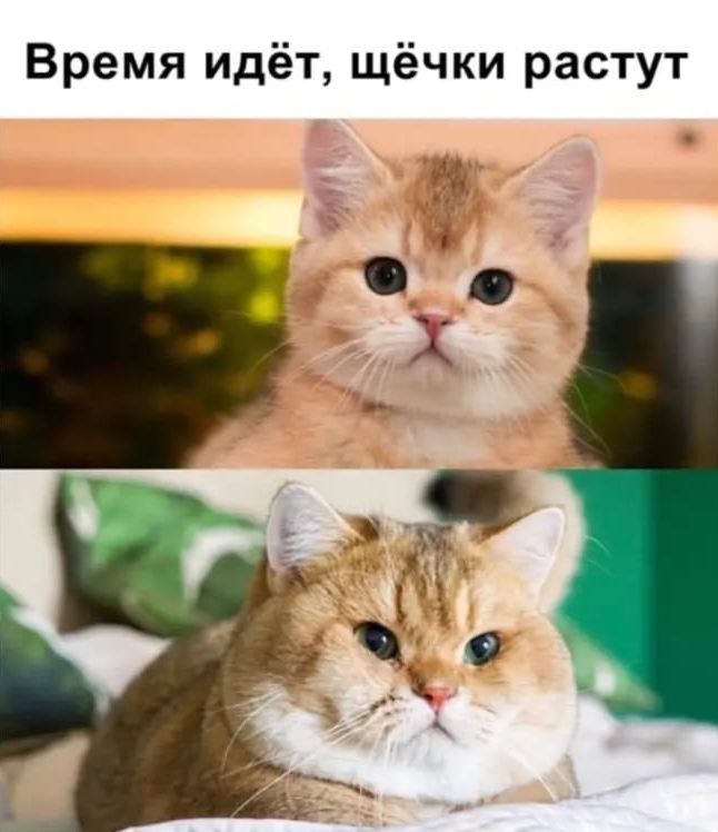 Время идёт щёчки растут п