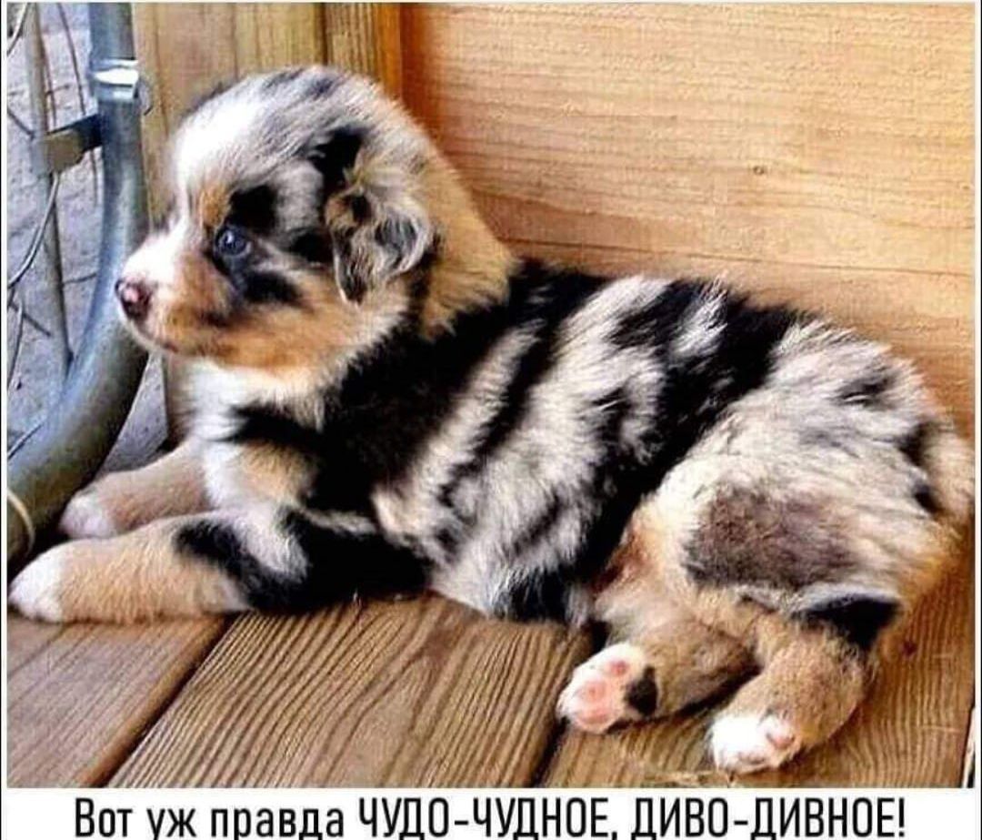 Вот у ппавда ЧУПП ЧУЦНЁЕ ЦИВП ДИВНОЕ