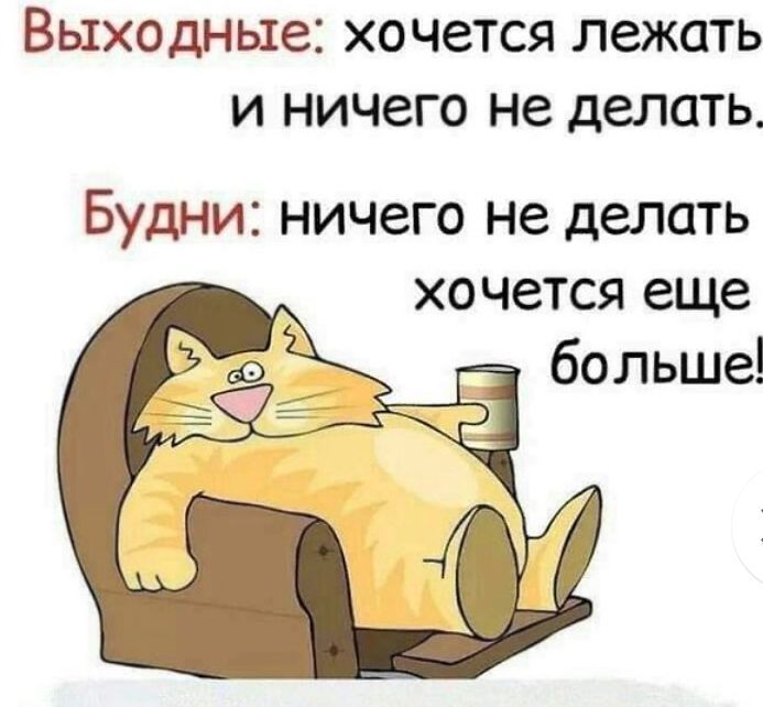 Выходные хочется лежать и ничего не делать Будни ничего не делать хочется еще _ больше
