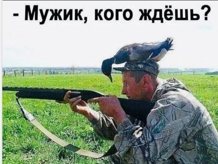 Мужик кого ждёшь