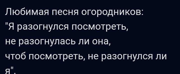 Любимая песня огородников Я разогнулся посмотреть не разогнупась ли она чтоб посмотреть не разогнупся пи Я