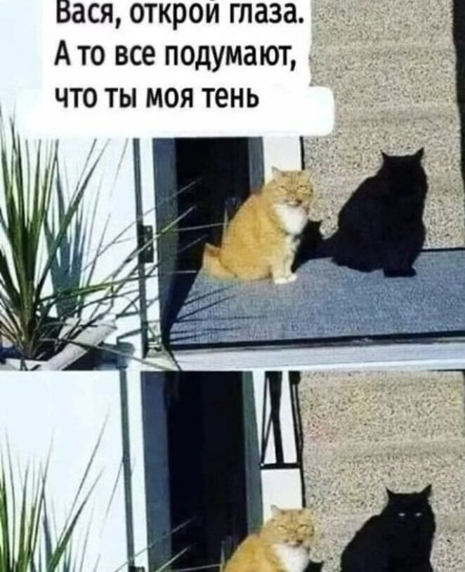 Вася открои таза А то все подумают что ты моя тень