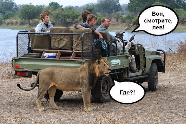 впн смотриш пвв
