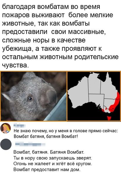 благодаря вомбатам во время пожаров выживают более мелкие животные так как вомбаты предоставили свои массивные сложные норы в качестве убежища а также проявляют к остальным животным родительские чувства О не знаю почему но у меня в голове прямо сейчас Вомбат батяня батяня Вомбат Вомбат батяня Башня Вомбат Ты в нору свою запускаешь знерит Огонь не жалеет и кгет все кругом Вомбат предоставит нам дом