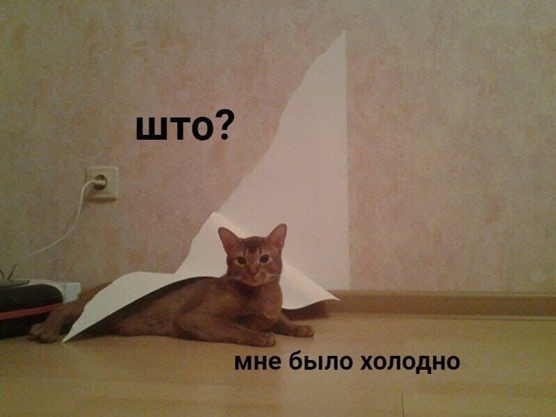 мне было холодно