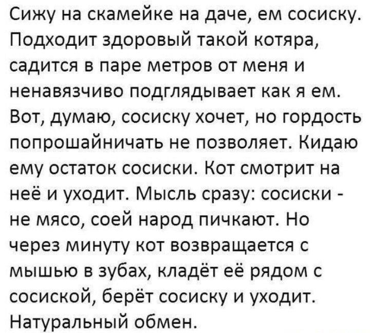 Сижу на скамейке на даче ем сосиску Подходит здоровый такой котяра садится в паре метров от меня и ненавязчиво подглядывает как я ем Вот думаю сосиску хочет но гордость попрошайничать не позволяег Кидаю ему остаток сосиски Кот смотрит на неё и уходит Мысль сразу сосиски не мясо соей народ пичкают Но через минуту кот возвращается с мышью в зубах кладёт её рядом с сосиской берёт сосиску и уходит Нат