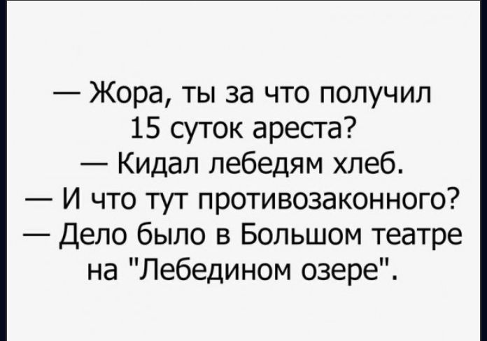 Жора ты за что получил 15 суток ареста Кидап пебедям хлеб И что тут противозаконного Дело было в Большом театре на Лебедином озере