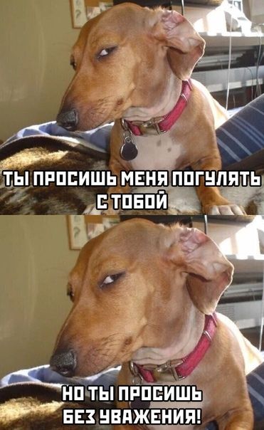 ТЬ ПРПЕИШЬ МЕНЯ ППГНЦЯТЬл ъштыпг пвиш не нвАж ня