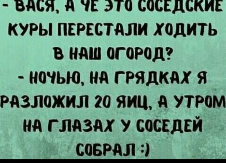 ВдСЯ д іЕ ЭТО СОСЕДСКИЕ КУРЫ ПЕРЕСТАЛИ ХОДИТЬ В НАШ ОГОРОД НОЧЬЮ ид Г РЯДКдХ Я РАЗЛОЖИЛ 20 ЯИЦ А УТРОМ А Г ЛАЗАХ У СОСЕДЕЙ СОБРдЛ