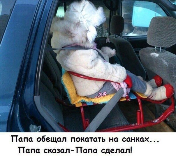 еЩОЛ ПОКЦТОТЬ на санках О сказалПапа сделал