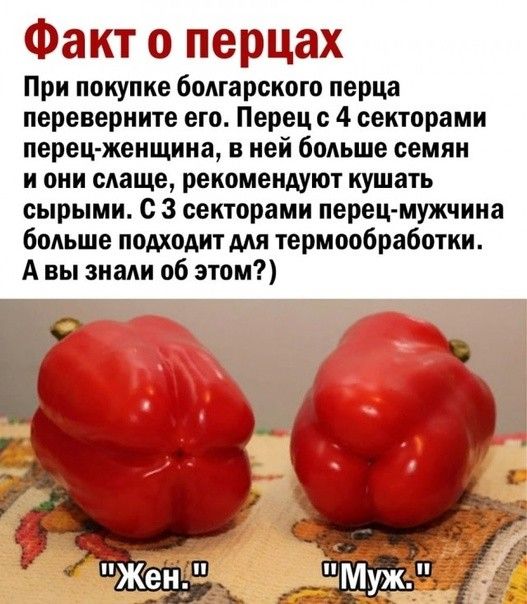 Факт о перцах При покупке болгарского перца переверните его Перец 4 секторами перец женщина в ней больше семян и они слаще рекомендуют кушать сырыми с з секторами перец мужчина больше подходит термообработки А вы знали об этом