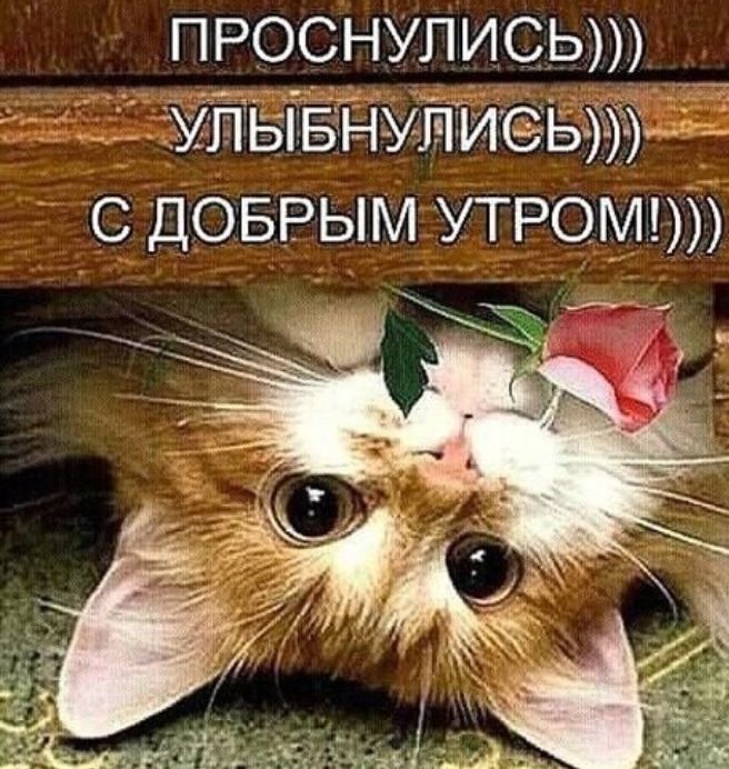 ПРоснупись УіТЬівНутТис ыуф _ _ с доврым утром