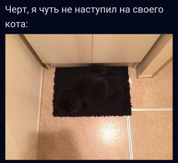 Черт Я ЧУТЬ не НЗСТУПИП на СВОЕГО кота