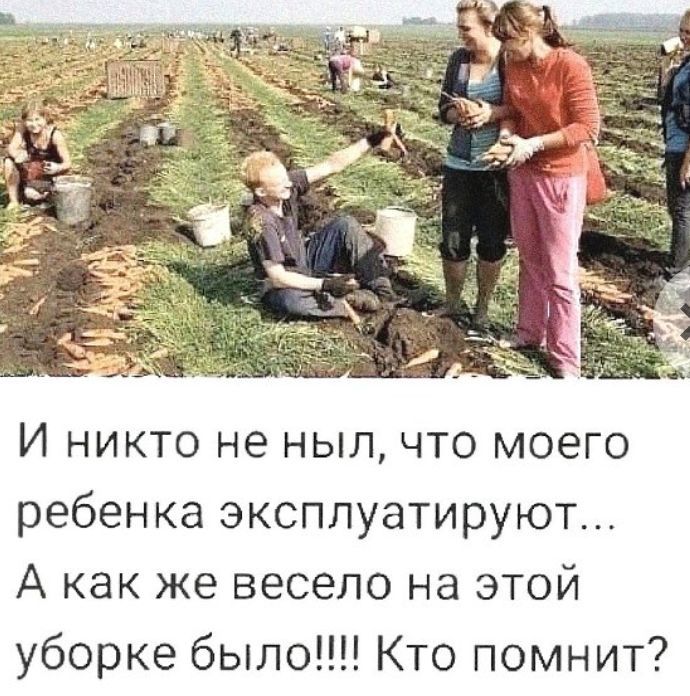 И никто не ныл что моего ребенка эксплуатируют А как же весело на этой уборке было Кто помнит
