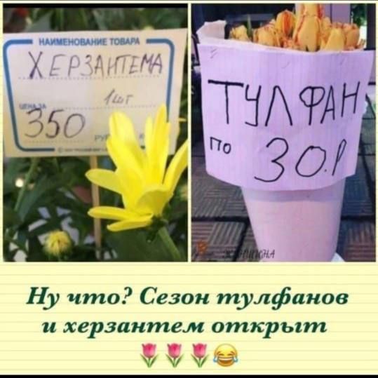 Ну что Сезон тулфииов и херзаитем открыт