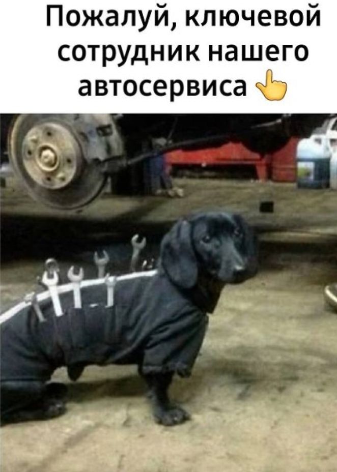Пожалуй ключевой сотрудник нашего автосервиса