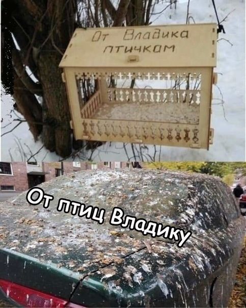 ним 7