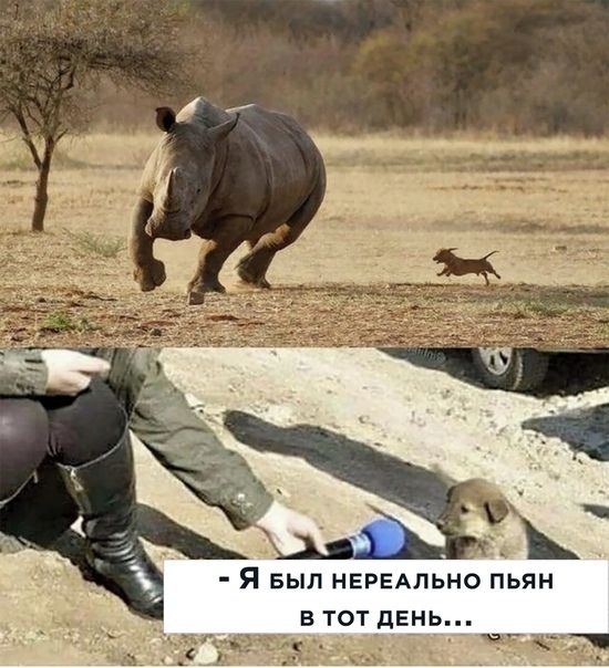 г д Я БЫЛ НЕРЕАПЬНО пьян в тот дЕнь