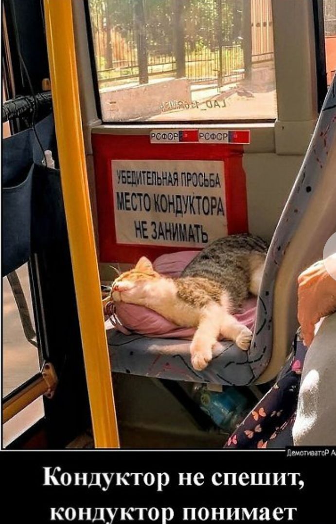 чъщитільншпгрсьы ЕСТОЁОНЦУКЮР ездим Кондуктор не спешит кондуктор понимает
