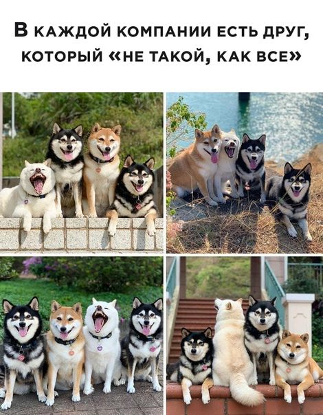 КАК ВСЕ которым не ТАКОЙ Г у В д Ь т с Е и и Н А П М О к и 0 д ж А к В