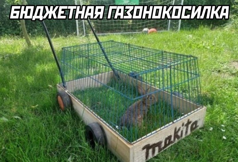 іддъддтті тащили гг