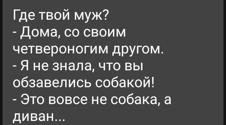 Где твой муж Дома со своим четвероногим другом Я не зналачто вы обзавелись собакой Это вовсе не собака а диван