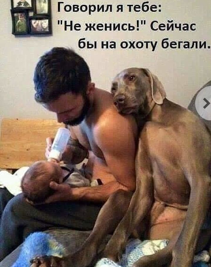 п Говорил я тебе Не женись Сейчас бы на охоту бегали