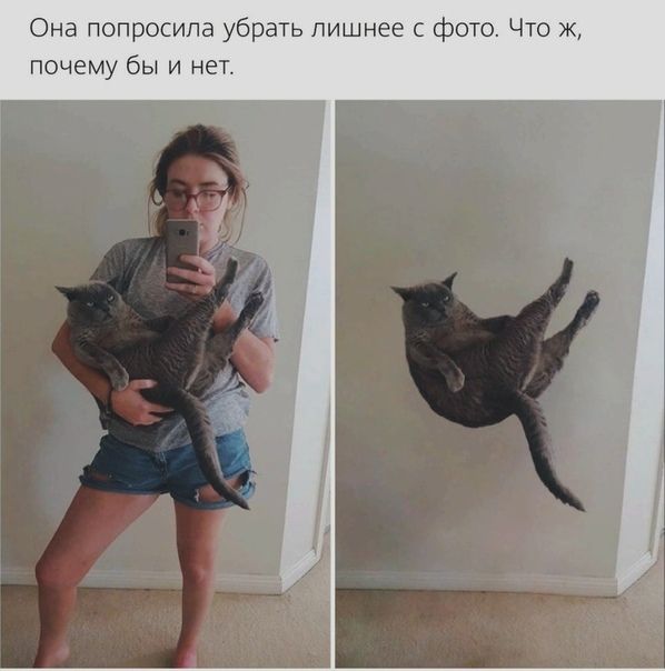 Она попросила убрать лишнее с фото Что ж почему бы и нет