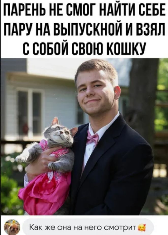 ПАРЕНЬ НЕ СМОГ НАНТИ СЕБЕ ПАРУ НА ВЫПУСКНПИ И ВЗЯЛ ССОБПИ СВОЮ КОШКУ Как же она на него смотрит