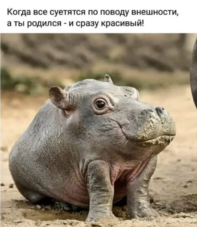 Когда все суетятся по поводу внешности а ты родился и сразу красивый
