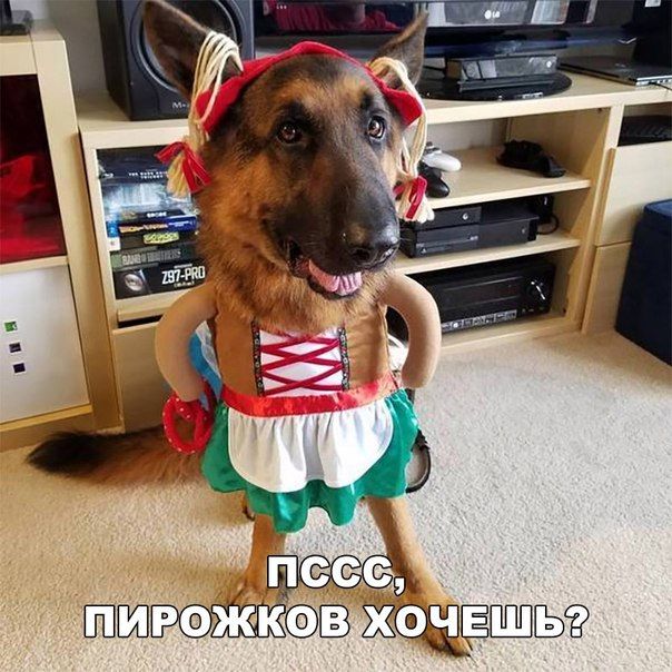 ПИРОЖКОВХОЧЕШВО