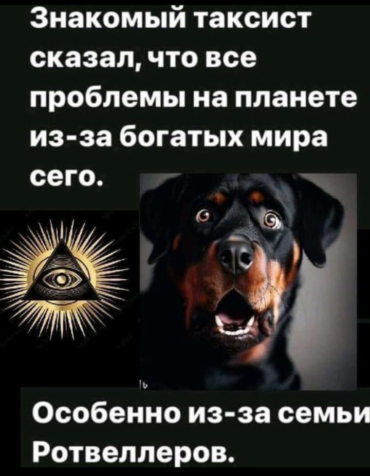 Знакомый таксист сказал что все проблемы на планете из за богатых мира сего В і Особенно из за семьи Ротвеллеров