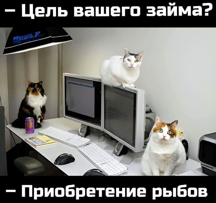 Цепь вашего займа Приобретение рыБпв