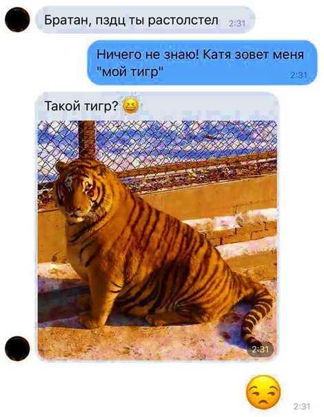 Братан пздц ты растопстел Такой тигр