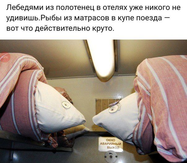 Пебедями из полотенец в отелях уже никого не удивишьРыбы из матрасов в купе поезда вот что действительно круто