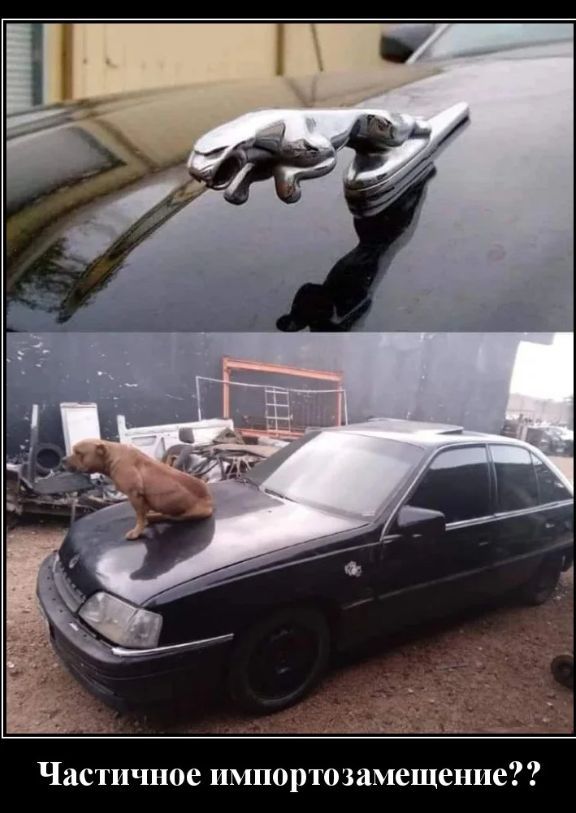 Частичное
