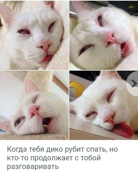 Когда тебя дико рубит спать но кто то продолжает тобой разговаривать