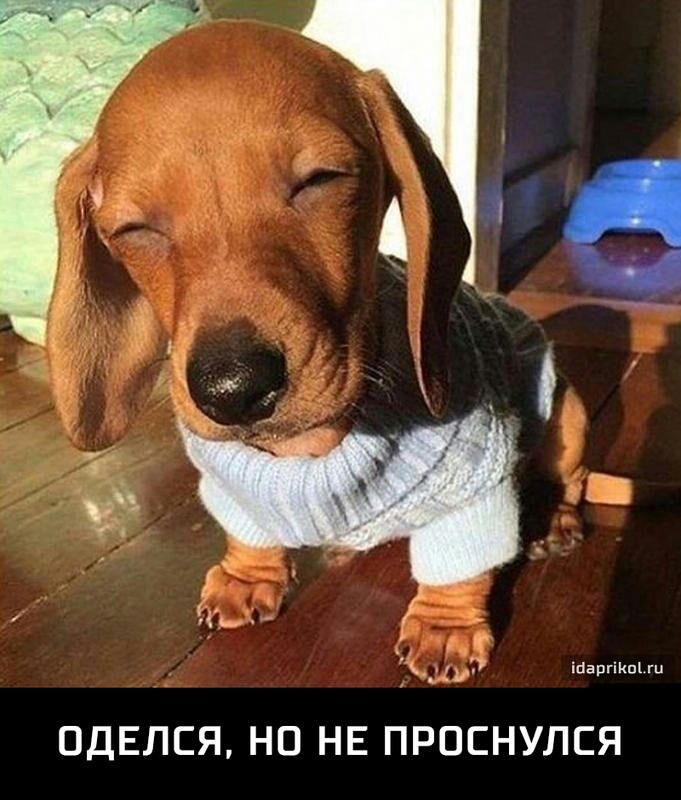 ст ПДЕЛЕЯ НО НЕ ПРОЕНУЛЕЯ