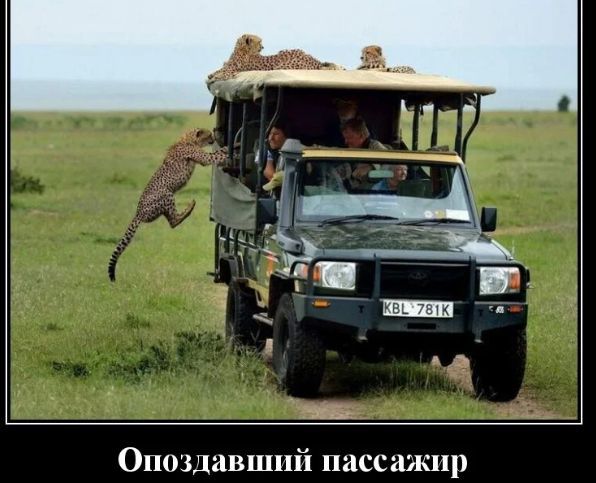Опоздавший пассажир