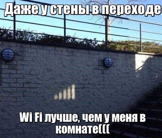 9 П П ЛУЧШЕ ЧЕМ У МЕНЯ В ИПМНЗТЕПЁ