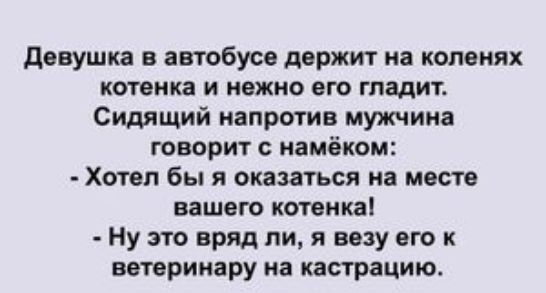 девушка в автобусе держит на камнях котенка и нежно его гладит Сидящий напратив мужчина творит намёком Хотел бы я оказаться на месте нашего котенка Ну это вряд пи я вазу его к ветеринару на кастрацию