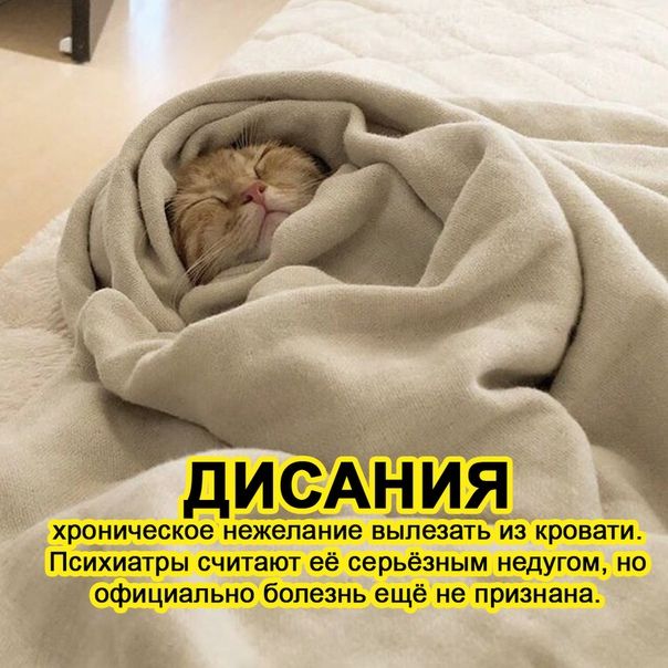 дисАния хроническое нежелание вылезать из кровати Психиатры счигат ее серьёзным недугом но официально болезнь еще не признана