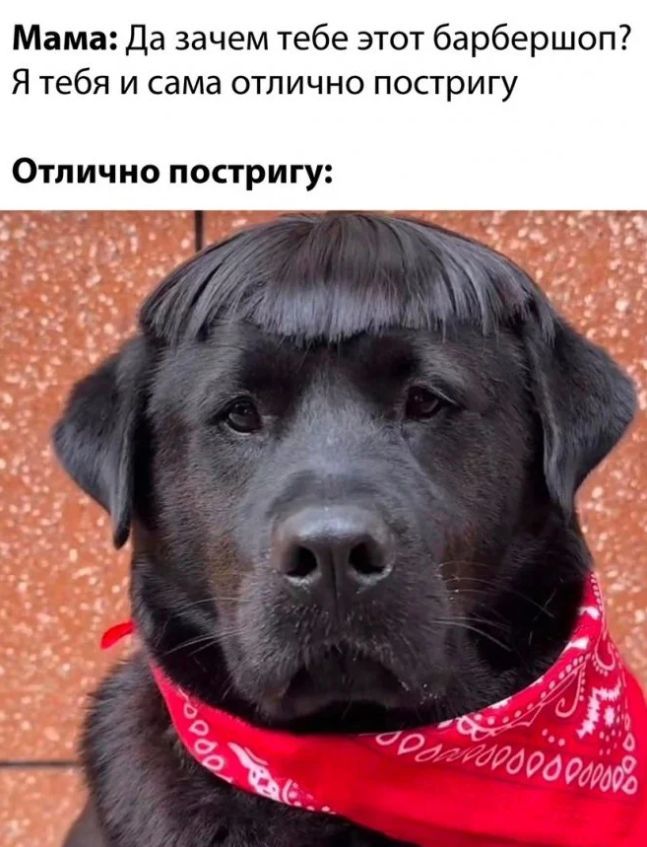 Мама Да зачем тебе этот барберш Я тебя и сама отлично постригу Отлично постригу