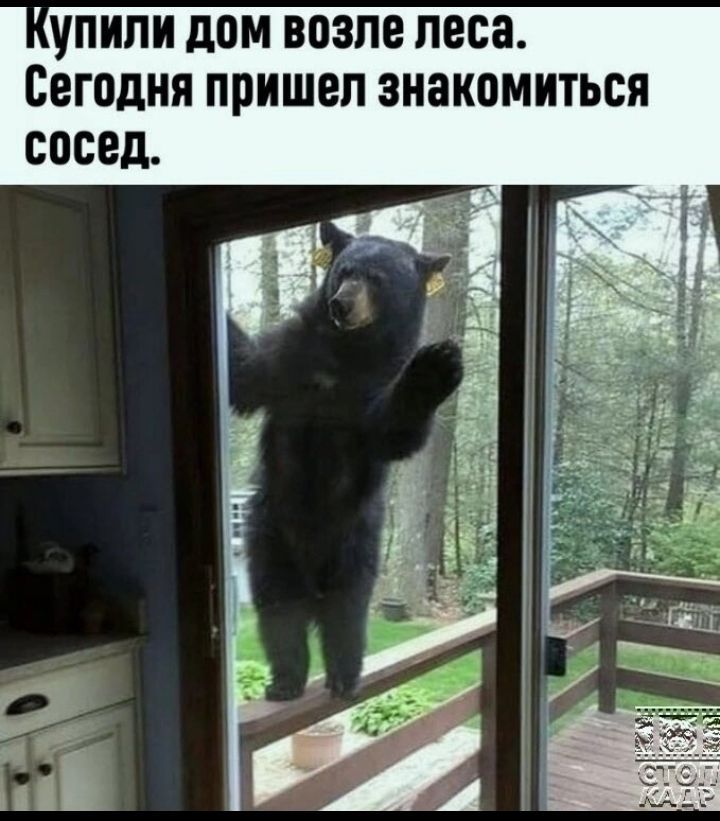 ПИПИ дОМ возле леса Сегодня ППИШЕЛ ЗНЗКОМИТЬСЯ сосед