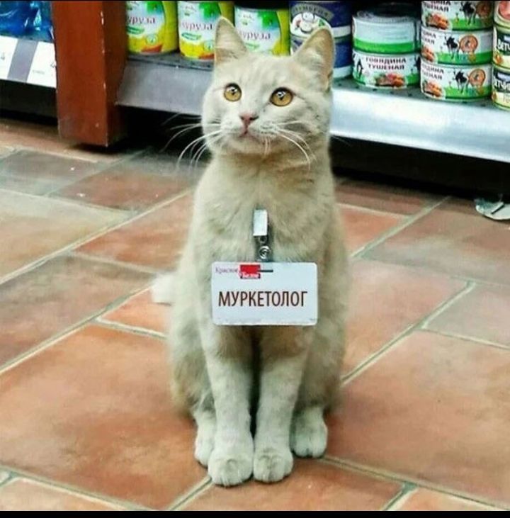 а _ муркыолог _